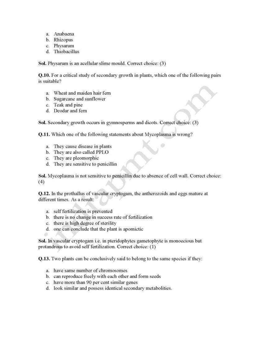 Intermediate 1 english critical essay criteria