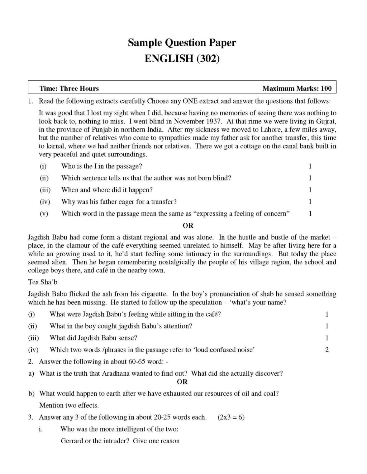 ninema essay questions and answers pdf
